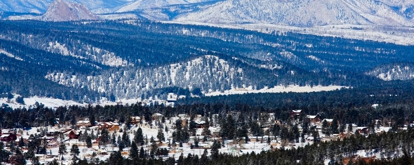 Homes For Sale In Woodland Park CO The Warner Group